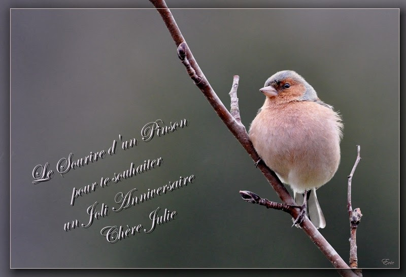 Carte Joyeux Anniversaire Julie Zeeep Web