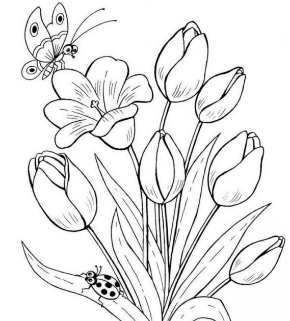 Kumpulan Mewarnai Gambar Sketsa Bunga Tulip Yang Mudah  