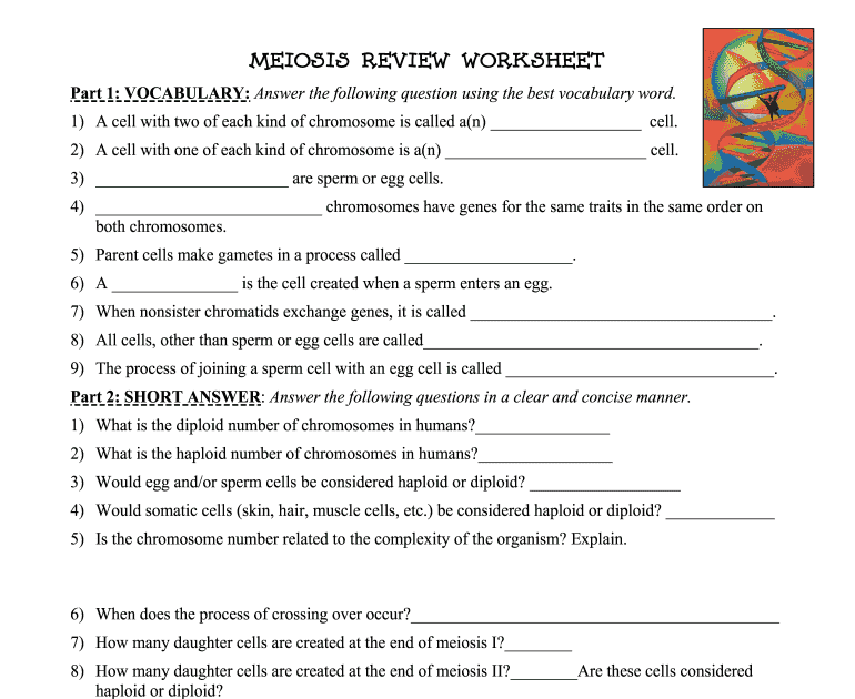 14.1 Human Chromosomes Answers Pdf : Student Exploration ...