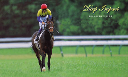 すべての美しい花の画像 ベスト50 競馬 壁紙 Pc