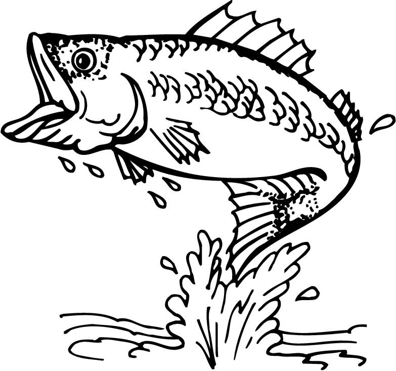 Download Fish Fish Jumping Out Of Water Svg