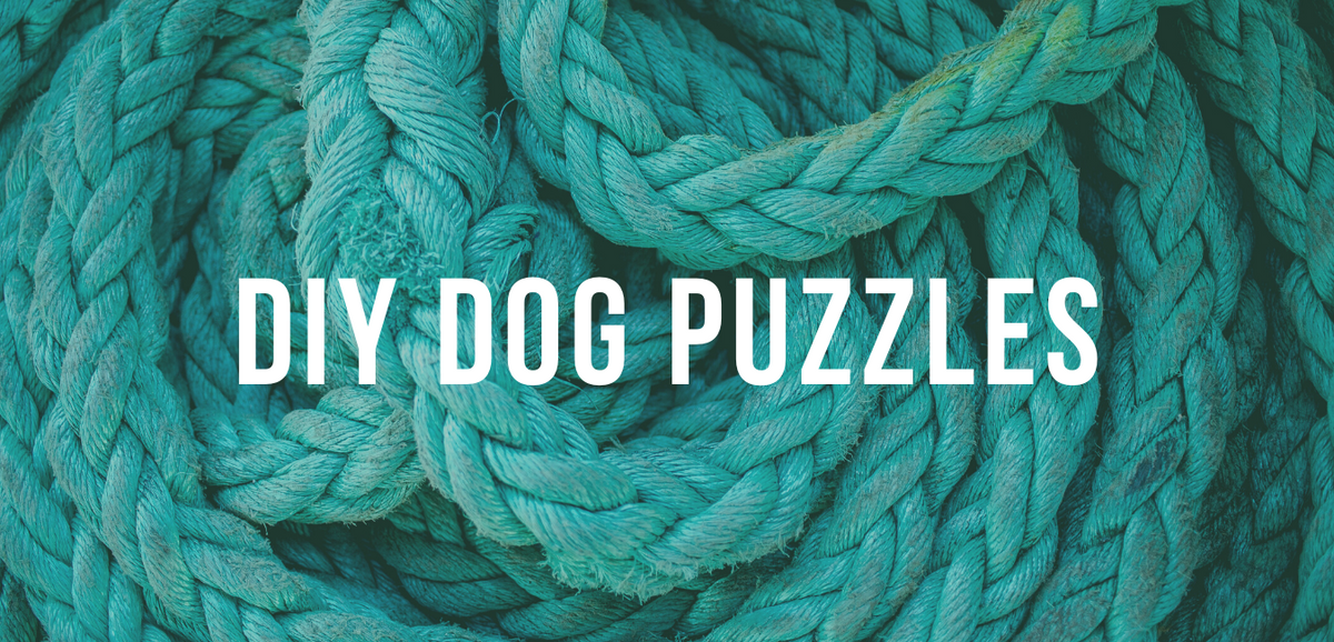 Maybe you would like to learn more about one of these? Diy Dog Puzzles Impact Dog Crates