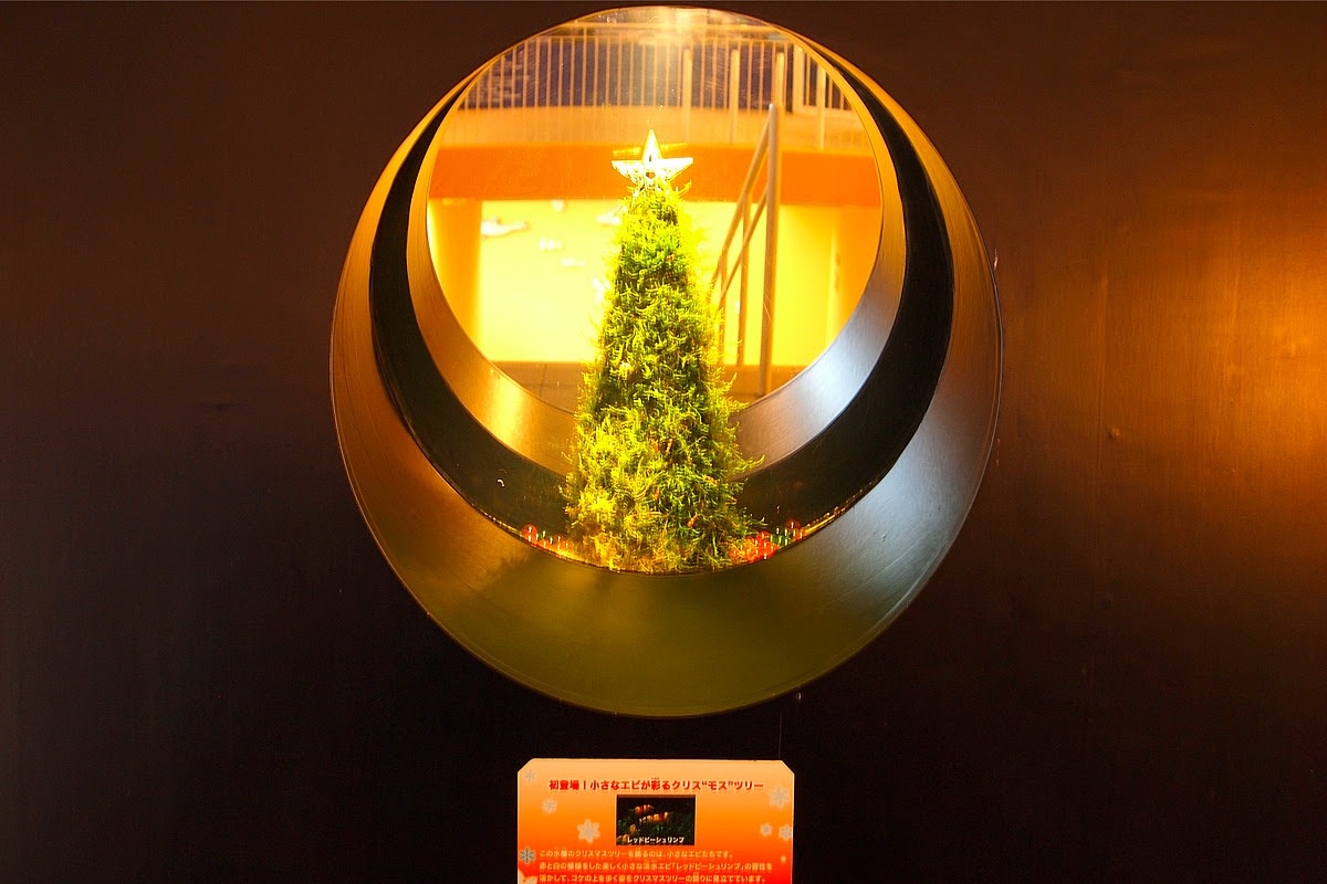 私は本当にそれが好きです クリスマス 鎌倉 デート 100 で最高の画像