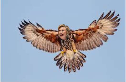 Hillary swooping in