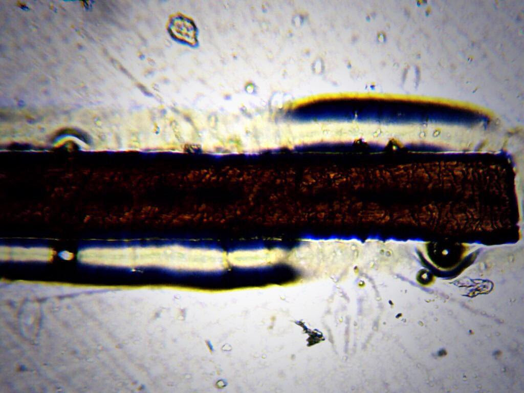 SUBHANALLAH TERNYATA BEGINI BENTUK RAMBUT NABI SUBHANALLAH TERNYATA BEGINI BENTUK RAMBUT NABI