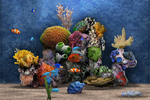 すべての花の画像 ラブリー熱帯魚 壁紙 動く Pc