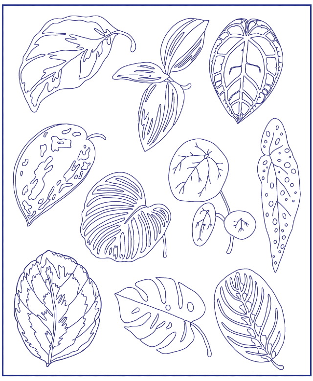 desenho para bordado folhas