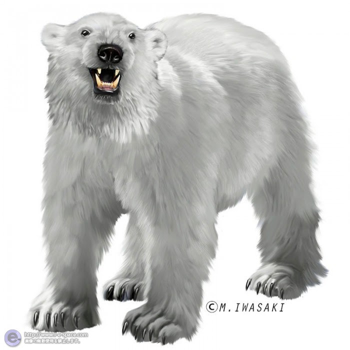 最新のhd白熊 画像 イラスト ただのディズニー画像