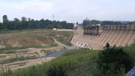 'Une réelle reprise de biodiversité' : en Normandie, la destruction de deux barrages fait renaître la nature