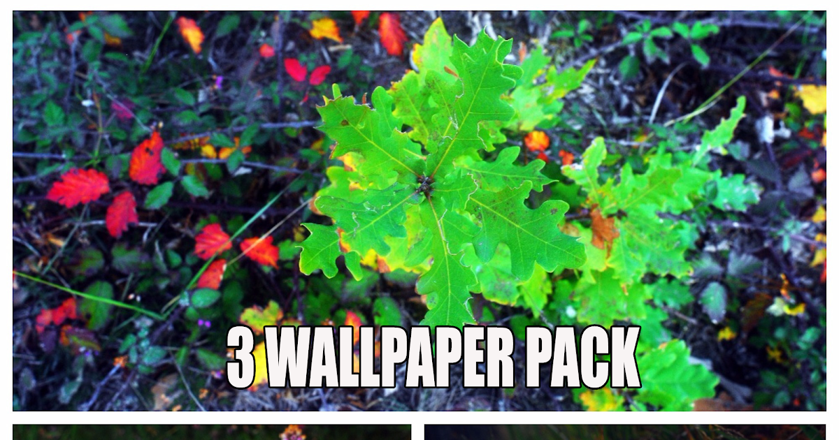 Hd Wallpaper Pack Zip / Download Pokemon Wallpaper Pack Zip / Wallpaper Packs: Themed Desktop ...