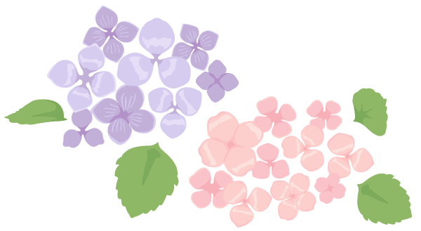 いろいろ かわいい手書き 紫陽花 イラスト 簡単 無料画像の宮殿 New Hdr
