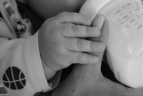 Choose from contactless same day delivery, . How To Choose The Best Formula For Your Baby Family Style Nutrition