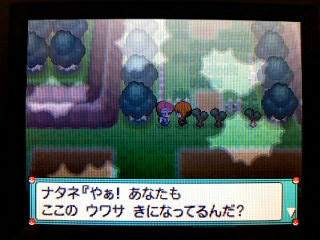 100 ポケモン プラチナ ロトム 100 で最高の画像