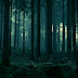 60+ Wallpaper Laptop Gelap