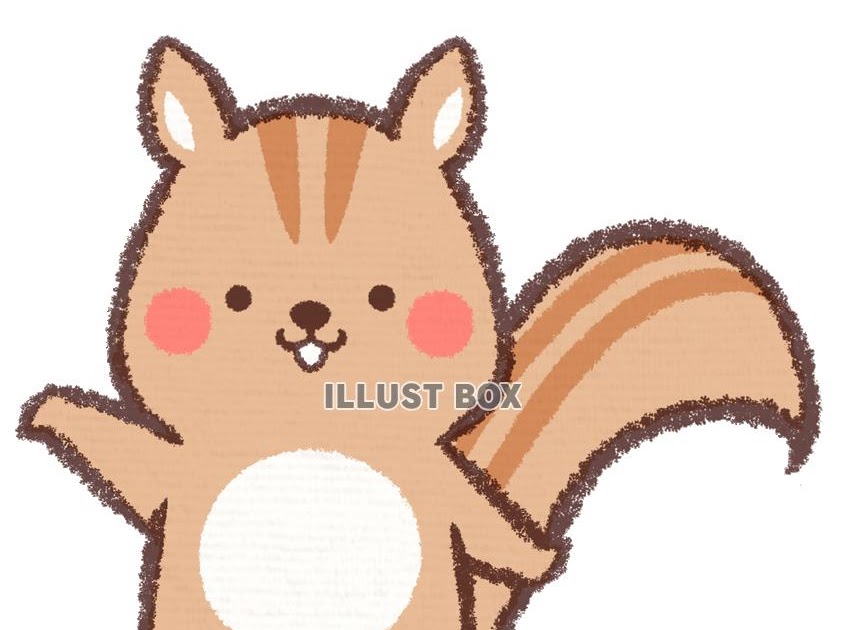 りす イラスト かわいい リアル かわいい リス イラスト Zitamahone