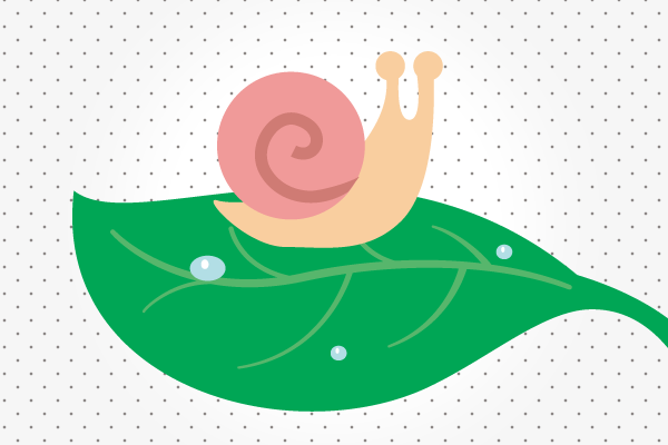 驚くばかりリアル カタツムリ イラスト 美しい花の画像