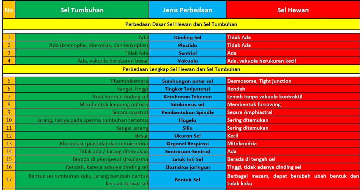  Gambar  Struktur  Sel  Hewan  Dan  Tumbuhan Beserta  Keterangannya