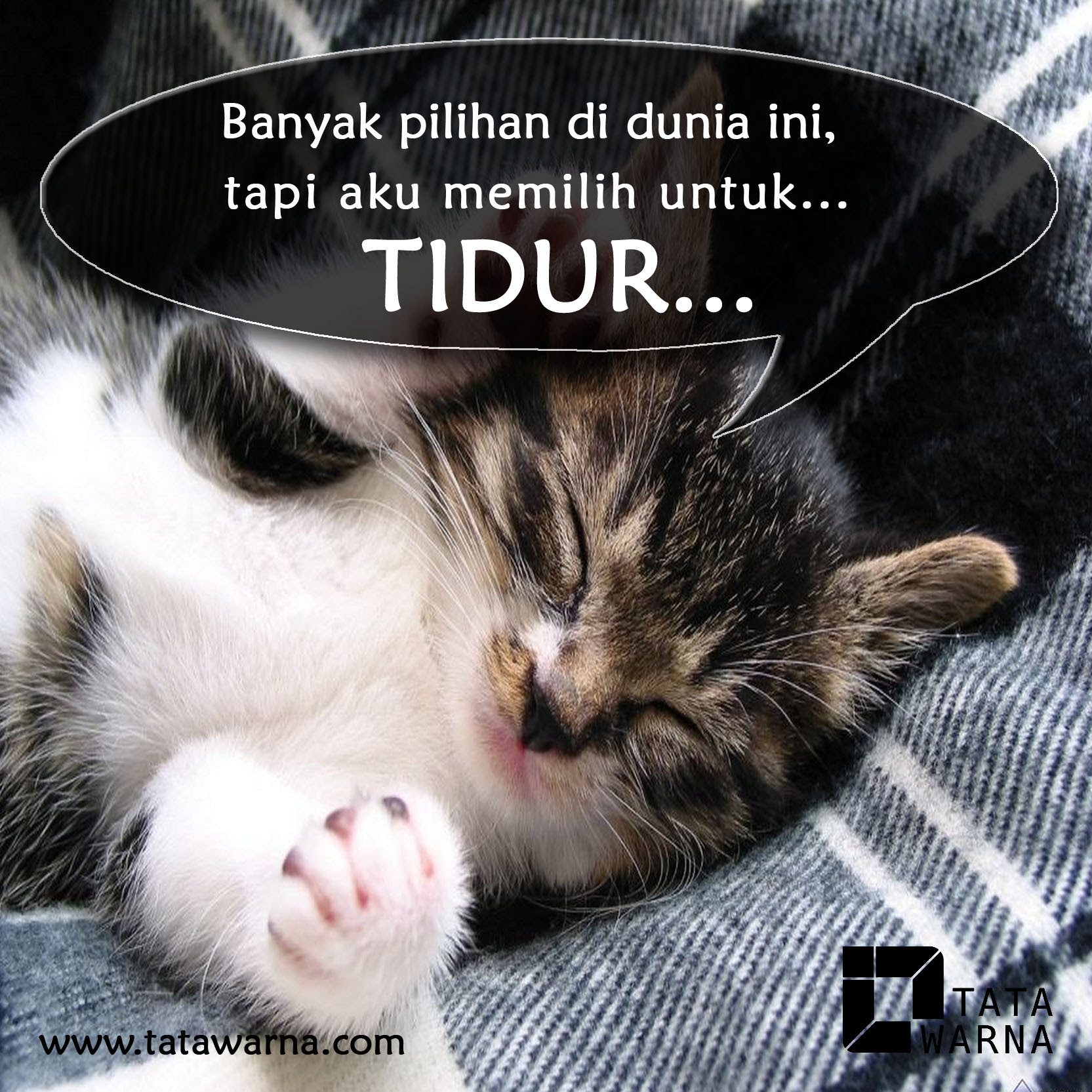 Koleksi Dp Bbm Bergerak Cape Kumpulan Gambar Meme Lucu