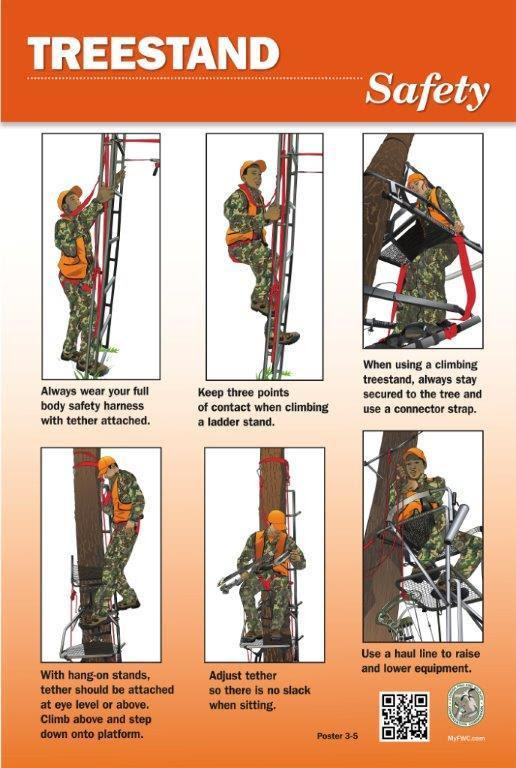 Treestand safety