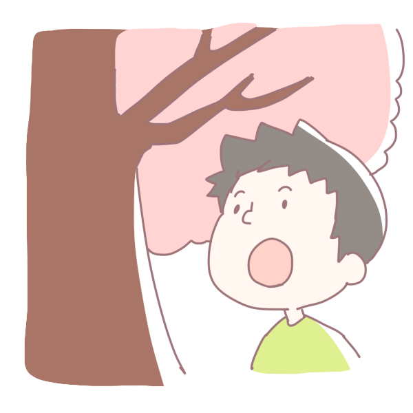 美しい花の画像 50 イラスト 見上げる