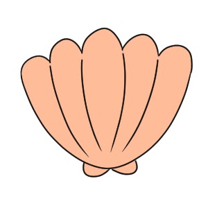 70以上 貝殻 イラスト 書き方 花の画像無料