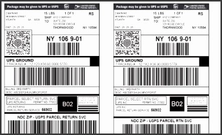 Ups Overnight Label Template : Tips & Tricks: How Do I ...
