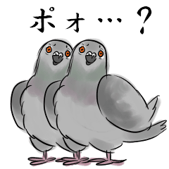 美しい花の画像 元の鳩 イラスト リアル