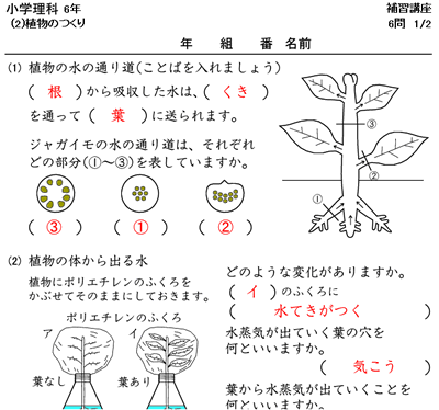 小学6年生理科プリント 無料の印刷可能なイラスト素材