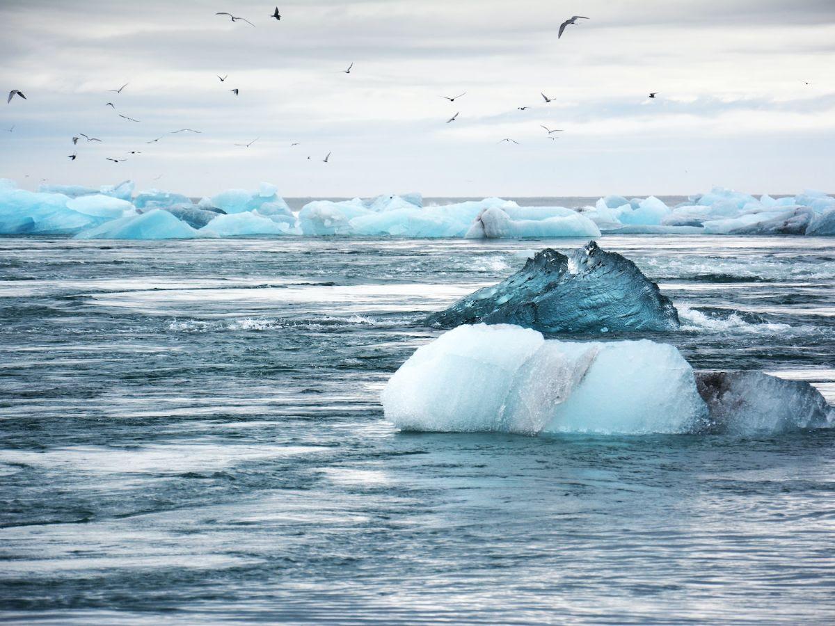 icebergs in Iceland