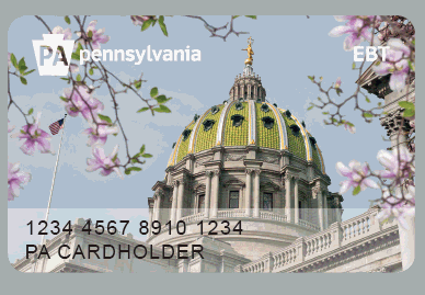 Food includes everything from breads to seeds and plants to grow food. 580 6 Pennsylvania Ebt Access Card