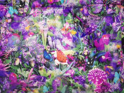無料ダウンロード高 画質 蜷川 実花 壁紙 Iphone 最高の花の画像