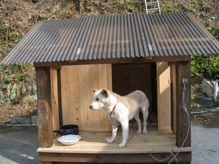トップ100犬 小屋 おしゃれ イラスト画像