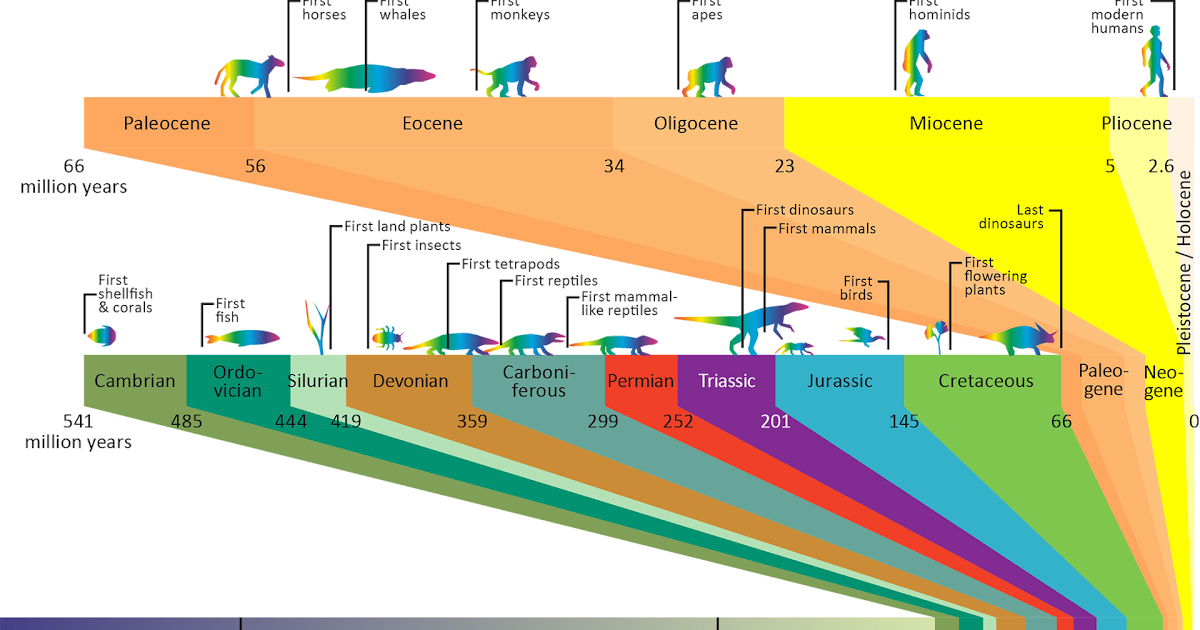 Processed Petroleum Oils Mail - Https Core Ac Uk Download ...