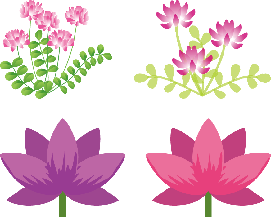 50 素晴らしいれんげ 花 イラスト インスピレーションを与える名言