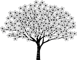 50 白黒 リアル 桜 イラスト かわいいディズニー画像