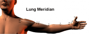The large intestine meridian is a yang meridian and paired with the lung meridian. Yin Yoga Lung Meridian Poses Myoga Studio Lausanne