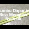 Pijat Kaskus Payudara Besar Cara Membesarkan Payudara Menggunakan Pasta Gigi / Kaskus Payudara Besar Cara Membesarkan Payudara ... - Memijat payudara secara benar, dapat membesarkan payudara.