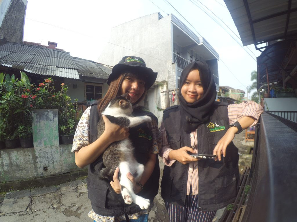  Rumah  Kucing Bandung Pagar  Rumah 