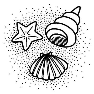 美しい花の画像 ぜいたく貝 イラスト 白黒