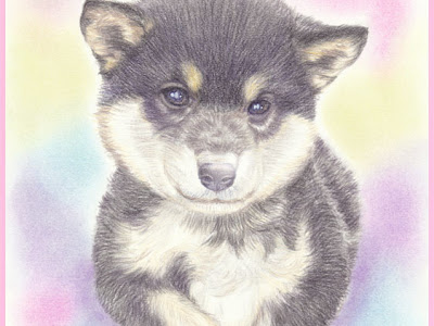無料イラスト画像 リアル 柴犬 簡単 イラスト