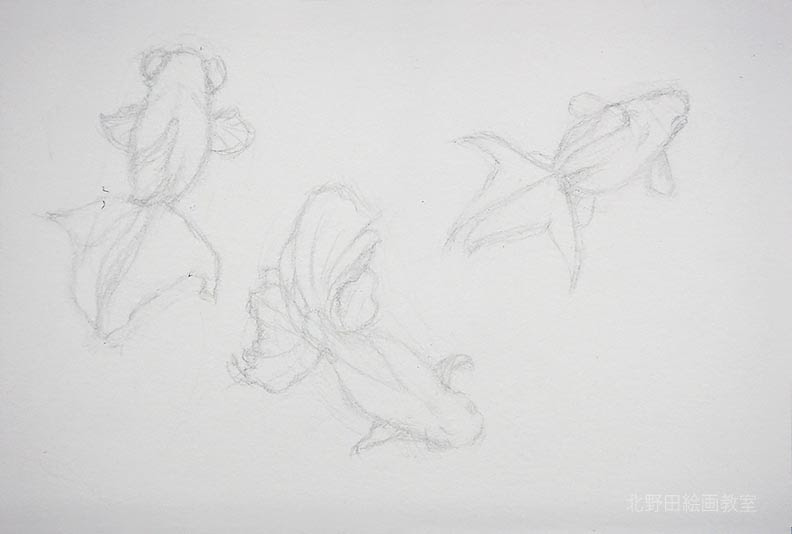 ぜいたく金魚 イラスト 書き方 簡単 最高のカラーリングのアイデア