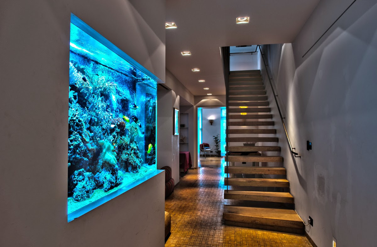 See the complete tutorial or browse more ideas here. Beautiful Home Aquarium Design Ideas