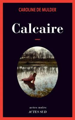 Résultat de recherche d'images pour "calcaire demulder"