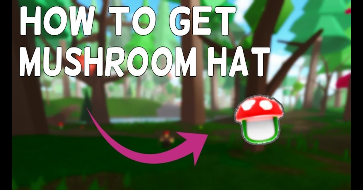 Roblox Vesteria Beta How To Get Mushroom Hat Roblox Promo Code List 2019 November - roblox vesteria beta can't play