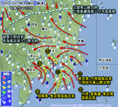 トップ100 東京湾 風予報 すべての魚の画像
