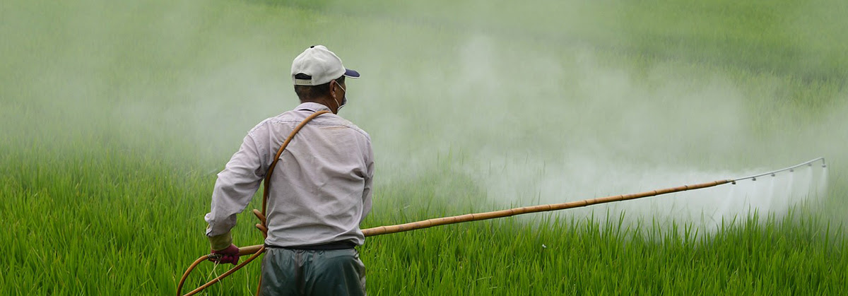aplicacao_agrotoxico_pixabay.jpg