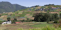 A distant view of a farm in Guatemala, with several fields visible.  