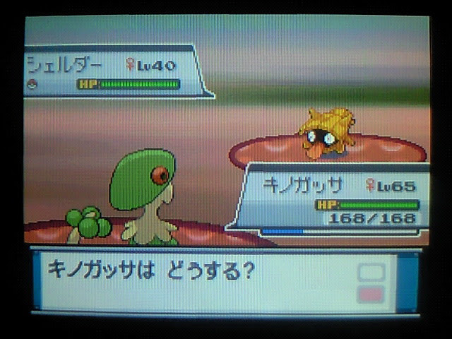 無料ダウンロード ポケモン ソウル シルバー 色 違い 100 で最高の画像