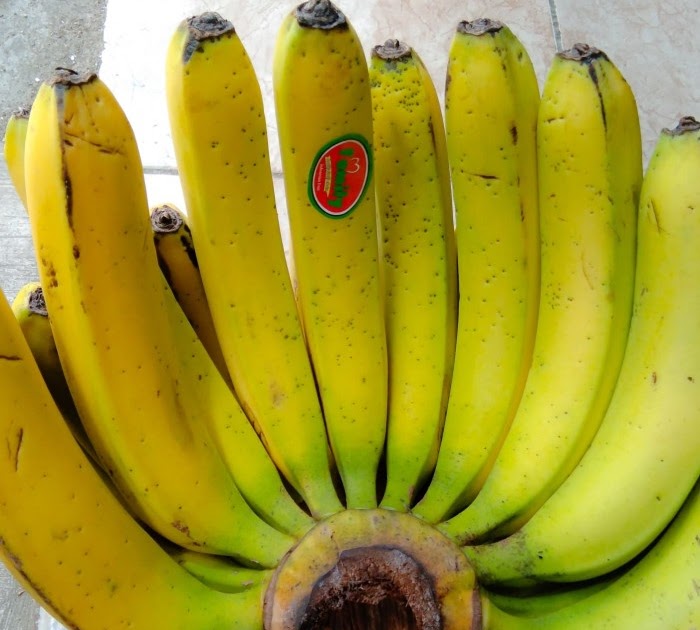 Gambar Buah Pisang Ambon  Gambar Bagian Tumbuhan