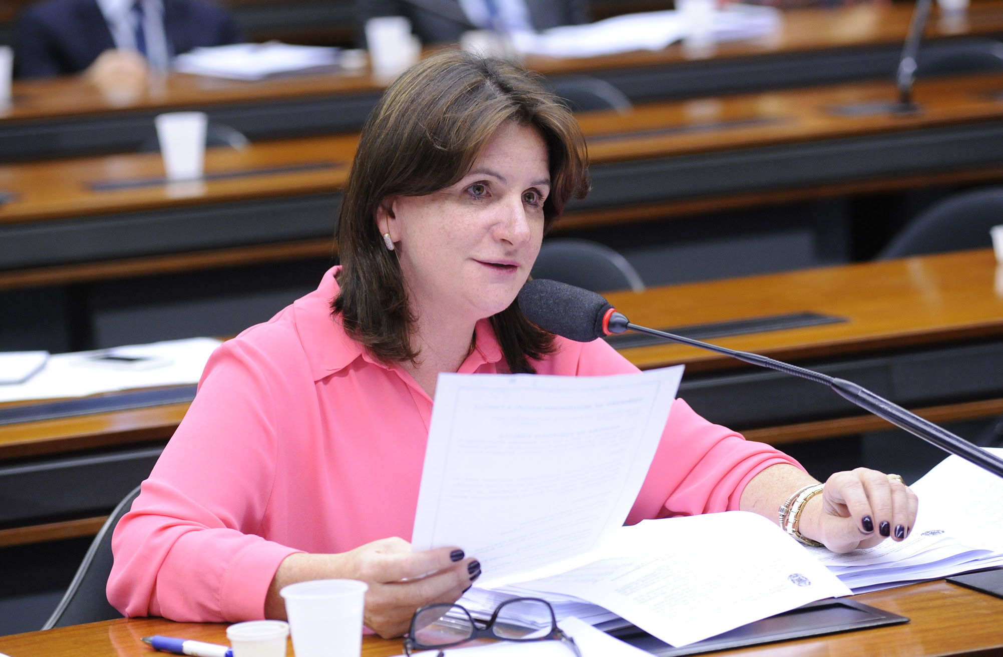 Deputados A - C - Carmem Zanotto